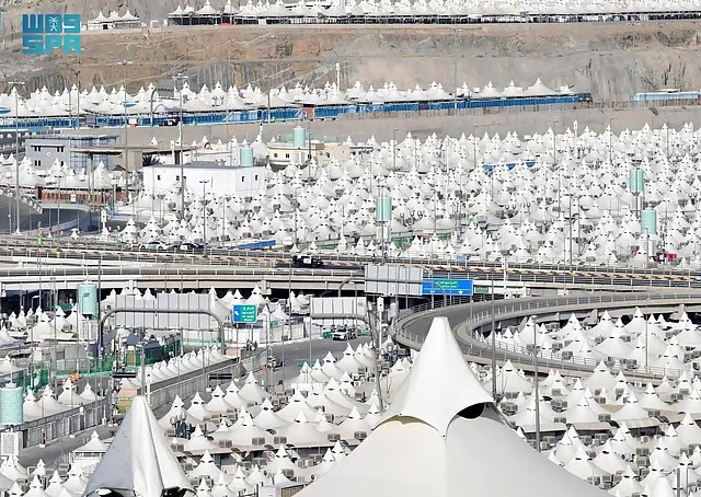 موريتانيا تحظر استهلاك الدجاج المستورد من الصين بفتوى شرعية رسمية