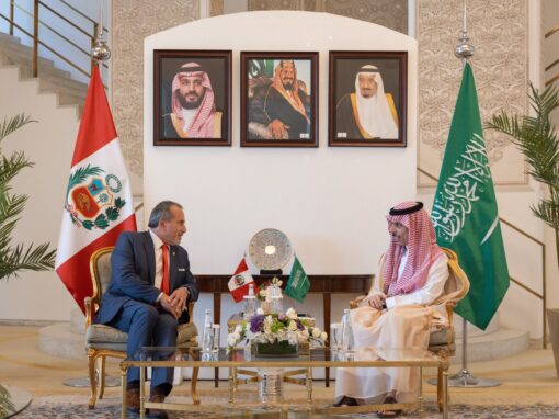 وزير الخارجية ووزير خارجية البيرو  يناقشان عددًا من القضايا الدولية