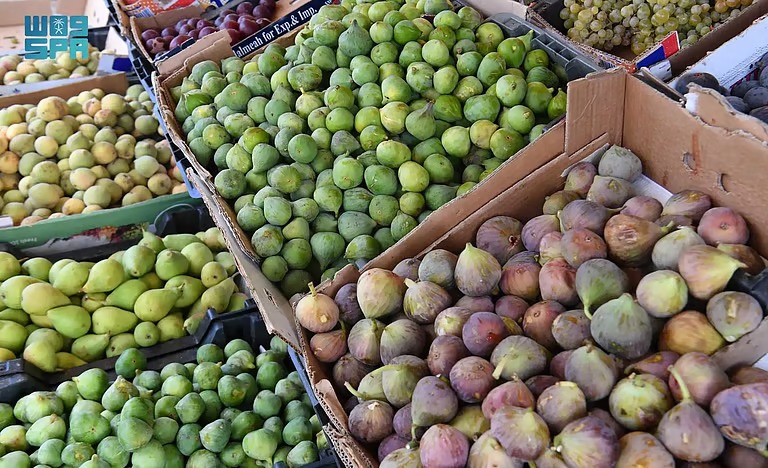 “فاكهة التين”.. تجذب السيّاح في عسير لقيمتها الغذائية ومذاقها الفريد