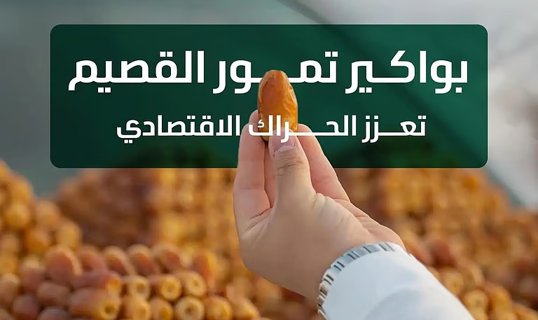 “البيئة”: موسم جني بواكير التمور بالقصيم يعزز الحراك الاقتصادي بالمملكة