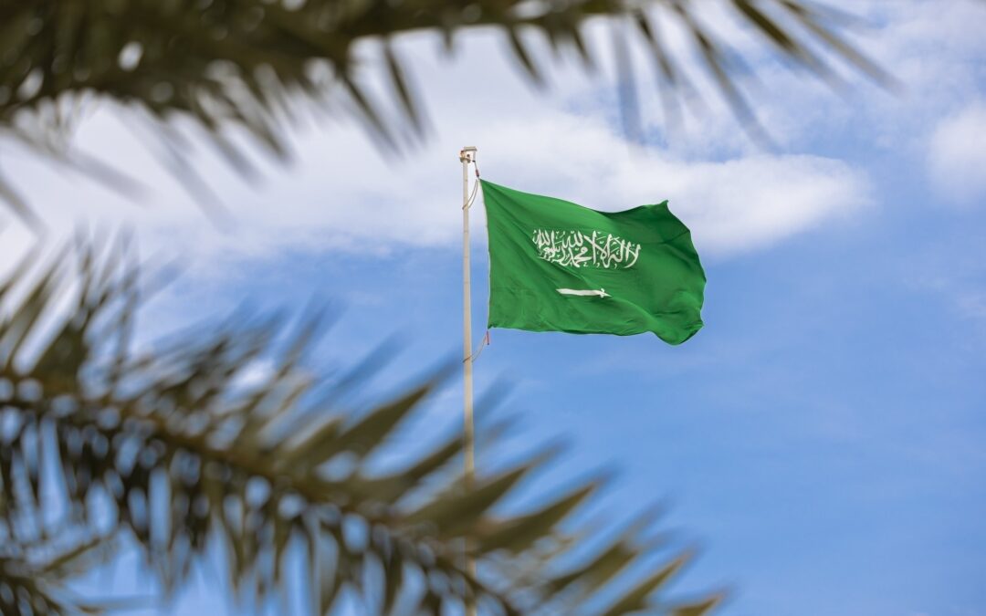 المملكة تشارك تجربتها في إدارة الموارد المائية بمنتدى التنمية المستدامة في نيويورك