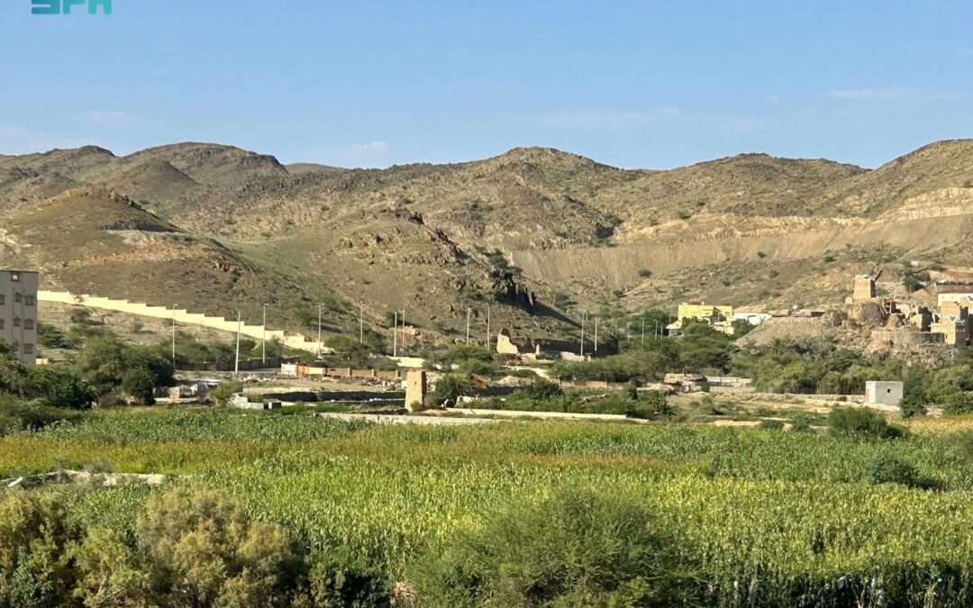 مزارع عسير.. وجهة سياحية تجمع بين التنوع وجمال الطبيعة