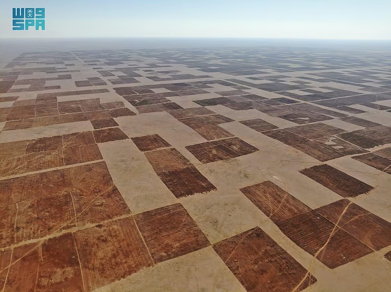 “بيئة الشمالية” تُعلن انتهاء مدة الانتفاع بالأراضي البعلية الموسمية وتدعو لإخلائها خلال 10 أيام