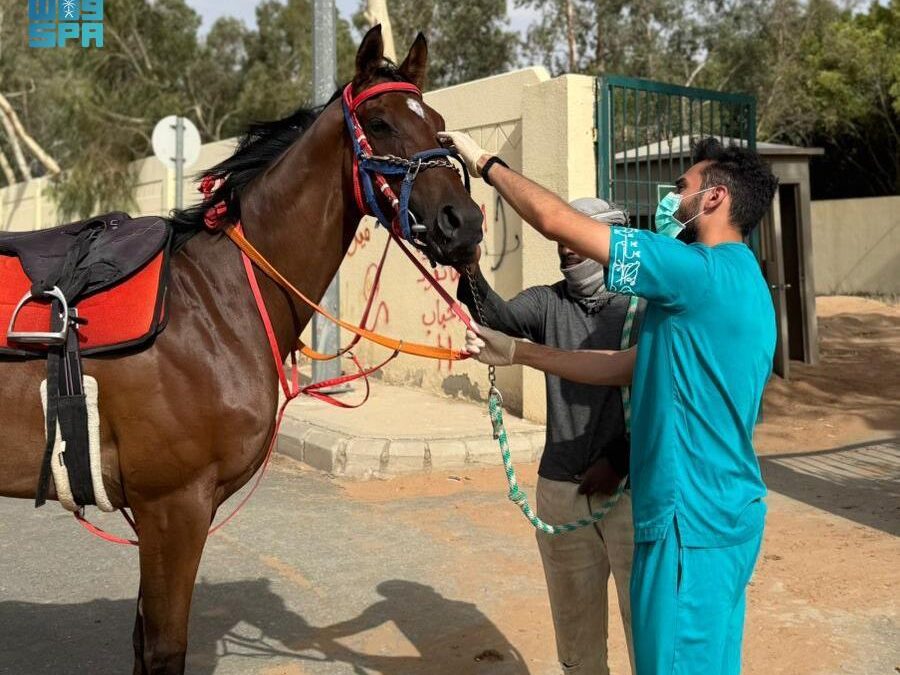 رسميًّا.. خلو المملكة من مرض الرعام