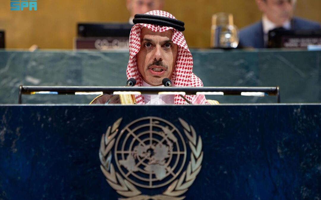 وزير الخارجية يترأس مؤتمر تنفيذ حل الدولتين
