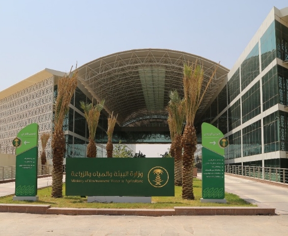 “وزارة البيئة” تدشّن أسبوع التين السعودي في أسواق التجزئة دعمًا للمنتجات الزراعية المحلية