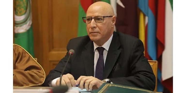 الأمين العام المساعد للإعلام بالجامعة العربية: قمة الدوحة رسالة تضامن ضد العدوان الإسرائيلي