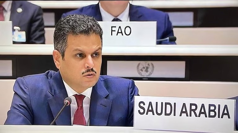 “المملكة”: ما تقوم به إسرائيل لم يعد مجرد انتهاكات بل سلوكًا ممنهجًا يقوم على القتل العشوائي
