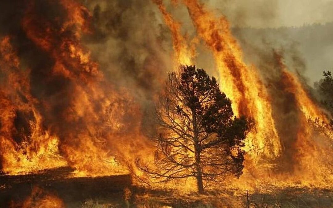 اشتعال حرائق غابات جديدة في البرتغال وإسبانيا