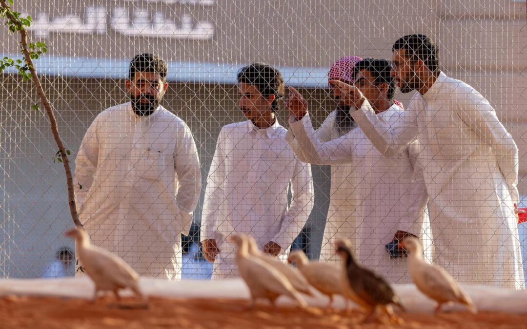 معرض الصقور والصيد السعودي الدولي 2025 يقدّم “السفاري”