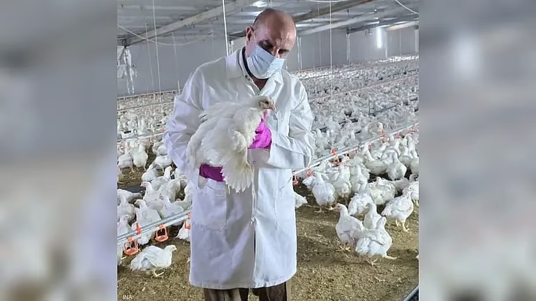 العراق يعلن تفشي سلالة شديدة الضراوة من إنفلونزا الطيور تسببت بنفوق 12 ألف طائر في بعشيقة
