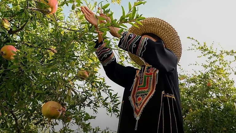 “البيئة” تُدشّن “أسبوع الرمان السعودي”
