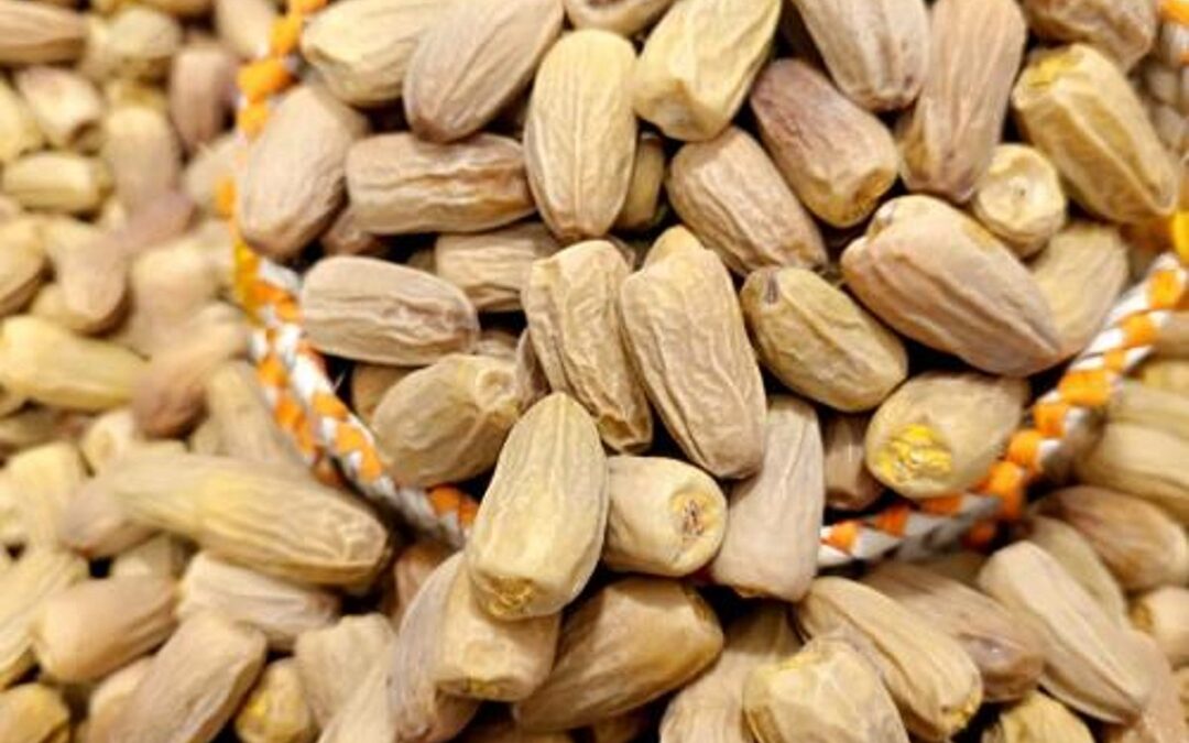 قهوة نواة تمر “البياض”.. تعزز من قيمة المحاصيل الزراعية بنجران