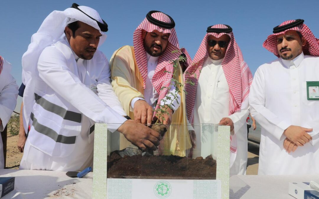 وكيل محافظ بيشة.. يدشن فعاليات موسم التشجير الوطني 2025 بمنتزه يلا