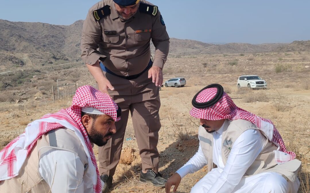 تفعيل مبادرة تشجير متنزه السدر بالمجاردة ضمن موسم التشجير الوطني 2025 – 2026م