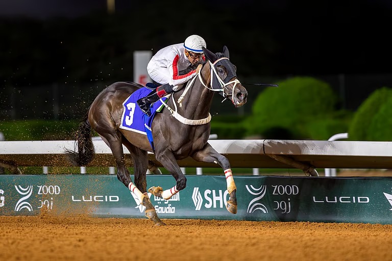 كؤوس إمارة الرياض ووزارة الدفاع والأمن العام في الأسبوع الرابع من موسم سباقات الرياض