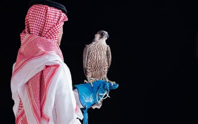 بعد تجربة 2023.. صقّار يكرر النجاح في مزاد نادي الصقور بصفقة 71 ألف ريال