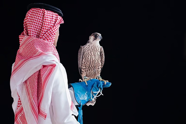 بعد تجربة 2023.. صقّار يكرر النجاح في مزاد نادي الصقور بصفقة 71 ألف ريال