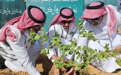 تشجير روضة هباس بـ5 آلاف شتلة ضمن حملة للغطاء النباتي في الحدود الشمالية