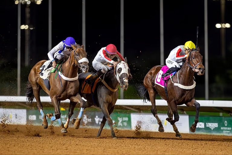 بميدان الملك عبدالعزيز.. أمير الرياض يرعى “بطولة الوفاء” على كأس الأمير محمد بن سعود الكبير في سباقات الخيل