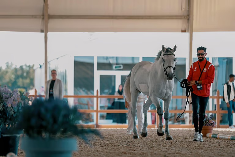 “ميدان قفز السعودية” يشهد غدًا انطلاق جولات الرياض لقفز الحواجز