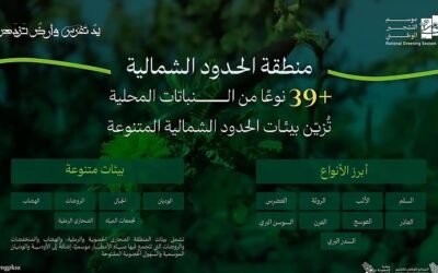 البرنامج الوطني للتشجير: بيئات الحدود الشمالية تزدهر بانتشار 39 نوعًا من النباتات المحلية