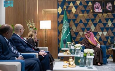 “وزير الداخلية” يستضيف المدير العام للمنظمة الدولية للهجرة