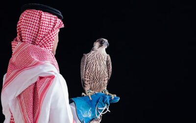 بيع “شاهين فرخ” في الليلة الـ19 لمزاد نادي الصقور السعودي 2025