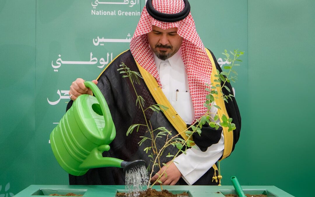 برنامج التشجير: المدينة تزدهر بأكثر من 60 نوعًا من النباتات المحلية