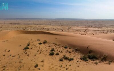 هيئة تطوير محمية الملك عبدالعزيز: التنزه في “الطوقي” متاح وفق ضوابط بيئية صارمة