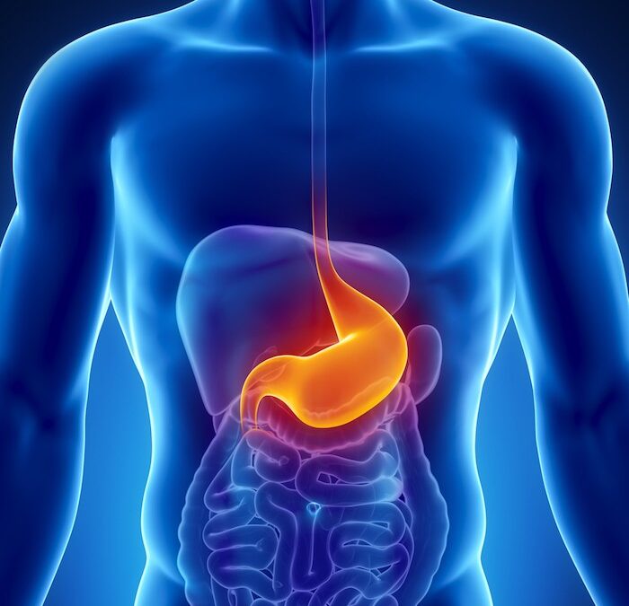 اضطرابات المعدة.. أسبابها ونصائح لتغذيتها بلطف