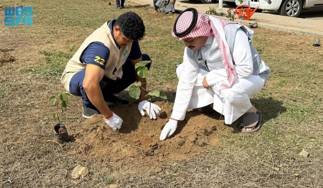 أمانة جازان تعزّز الغطاء النباتي بزراعة 7,000 شجرة وزهرة في صامطة