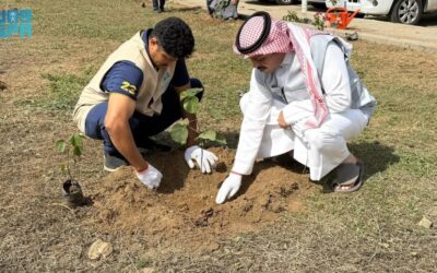 أمانة جازان تعزّز الغطاء النباتي بزراعة 7,000 شجرة وزهرة في صامطة
