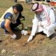 أمانة جازان تعزّز الغطاء النباتي بزراعة 7,000 شجرة وزهرة في صامطة
