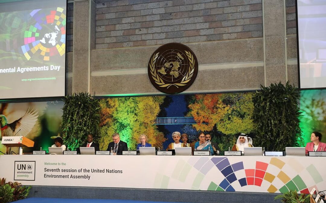 “السعودية” تستعرض أمام الأمم المتحدة جهودها في مكافحة التصحر ضمن رئاستها لـCOP16