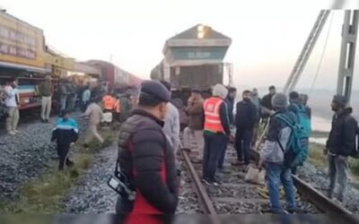 بسبب الضباب.. قطار نيودلهي يصطدم بقطيع أفيال ويقتل 7 منها