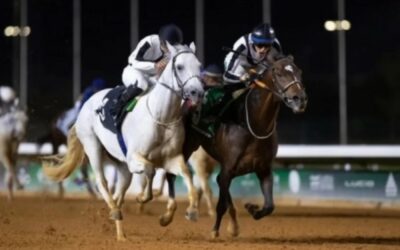 غداً.. انطلاق سباق الخيل الـ13 بميدان نجران
