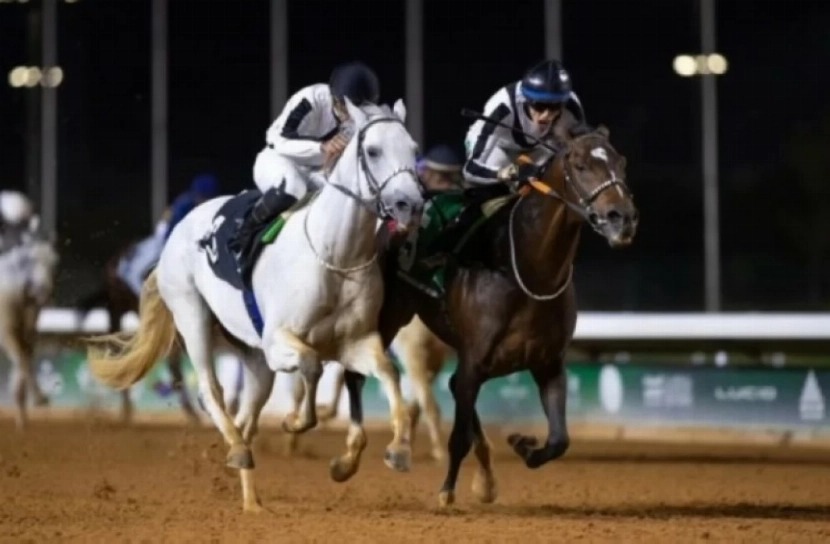 غداً.. انطلاق سباق الخيل الـ13 بميدان نجران