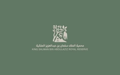 محمية الملك سلمان.. 550 نوعاً من النباتات تعزز الرقعة الخضراء