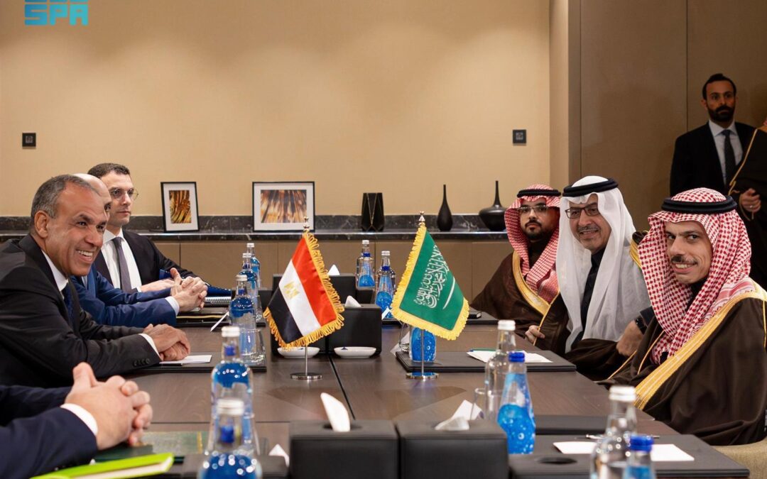 وزير الخارجية ونظيره المصري يناقشان آخر التطورات الإقليمية والدولية