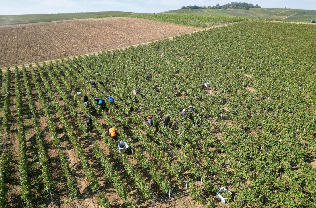 فرنسا ترفض تهديدات ترامب بفرض رسوم باهظة على بعض صادراتها