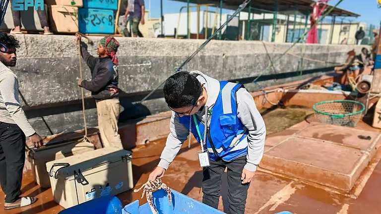 “بيئة الشرقية” تُطلق حملة رقابية على 12 مرفأ صيد لتعزيز الامتثال وحماية الثروة السمكية
