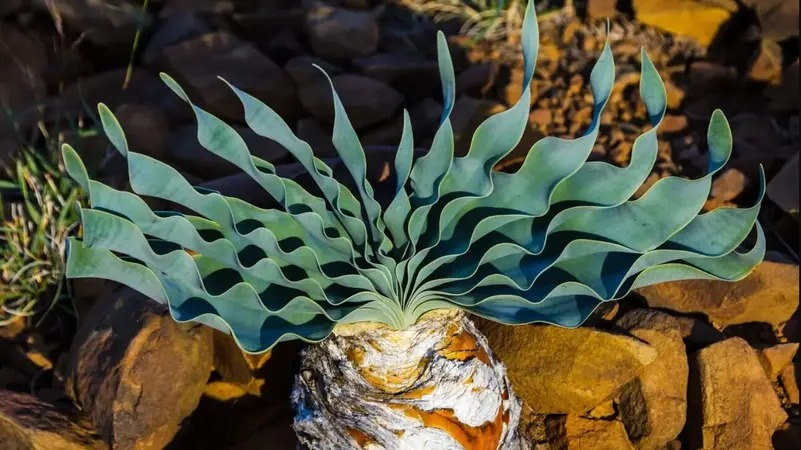 العثور على أقدم سهام مسمومة في التاريخ عمرها 60 ألف عام