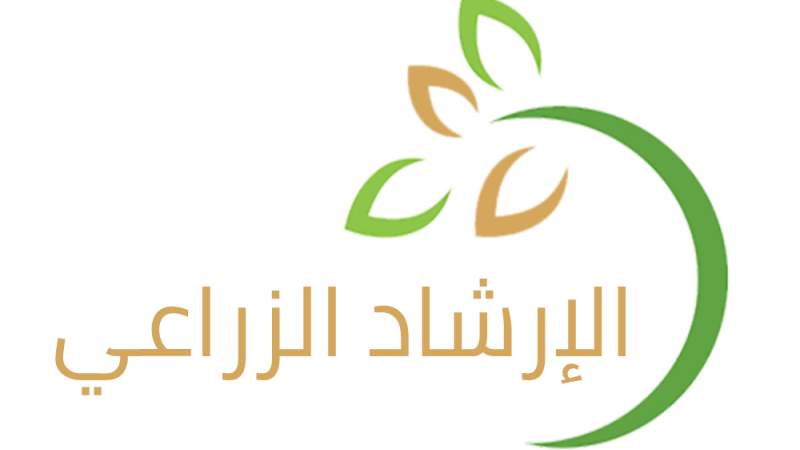 الإرشاد الزراعي: الترب البديلة حل فعّال لزراعة الخيار في البيوت المحمية