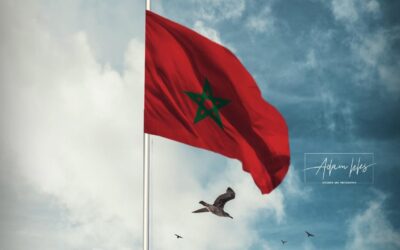 المغرب يعلن إنقاذ 201 مهاجر غير نظامي قبالة سواحل الداخلة