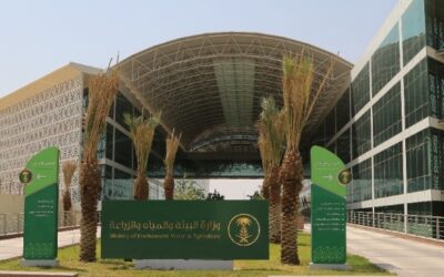 6,281 جولة رقابية لـ”البيئة” على الأسواق والمسالخ استعدادًا لرمضان
