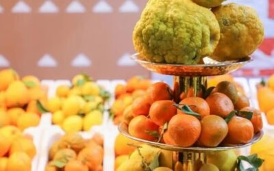 البيئة تكشف إنتاج 123 ألف طن ليمون و35.7 ألف طن برتقال وتدعو لتفضيل الحمضيات الوطنية