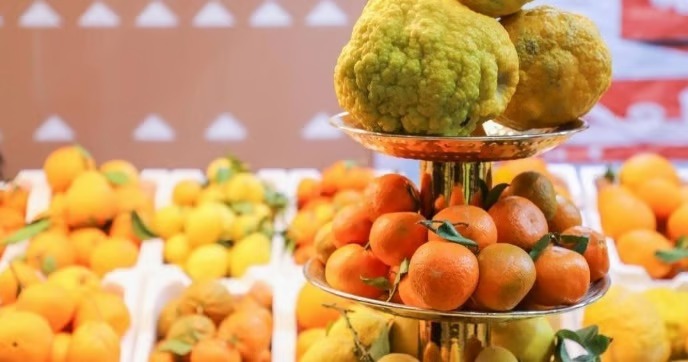 البيئة تكشف إنتاج 123 ألف طن ليمون و35.7 ألف طن برتقال وتدعو لتفضيل الحمضيات الوطنية