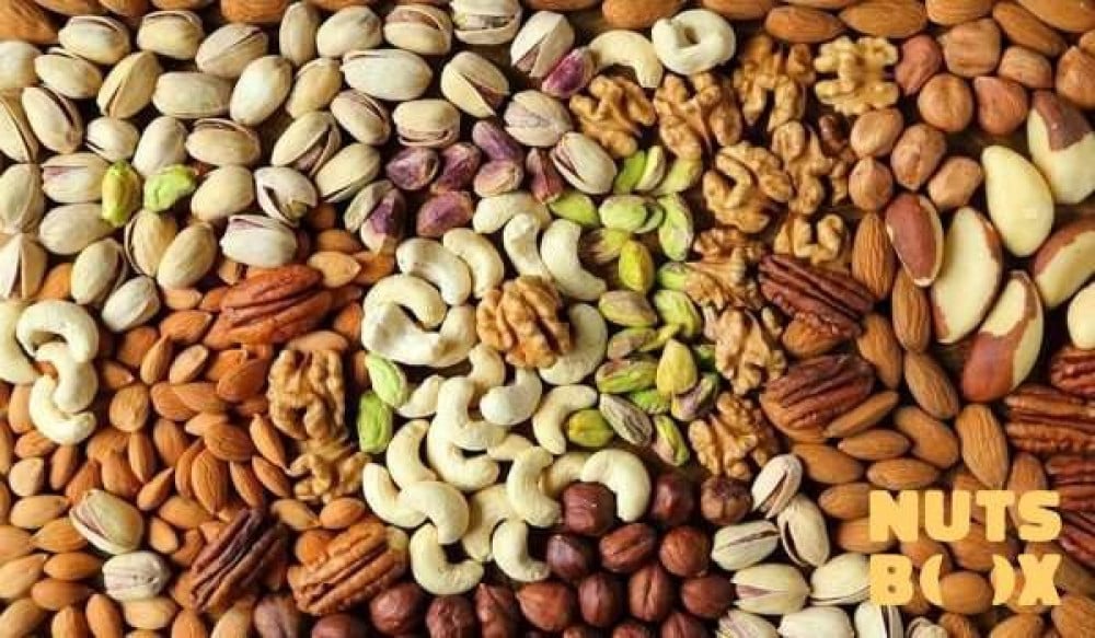 التوقيت الذهبي لتناول المكسرات للطاقة وحماية القلب وإنقاص الوزن