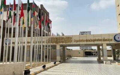 الأمين العام لمنظمة التعاون يدين العمليات العسكرية في مالي